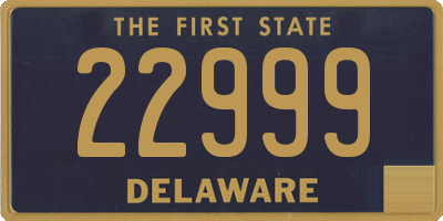 DE license plate 22999