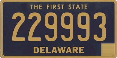 DE license plate 229993