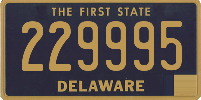 DE license plate 229995