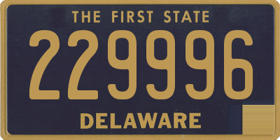 DE license plate 229996