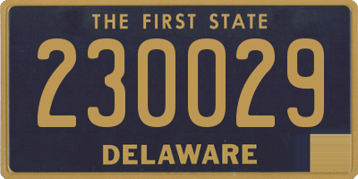 DE license plate 230029