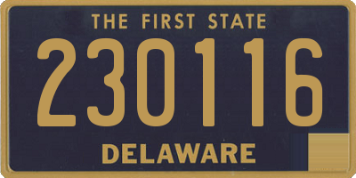 DE license plate 230116