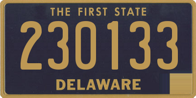 DE license plate 230133