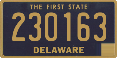 DE license plate 230163