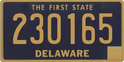 DE license plate 230165