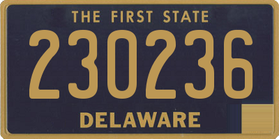 DE license plate 230236