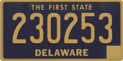 DE license plate 230253