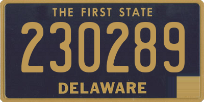 DE license plate 230289