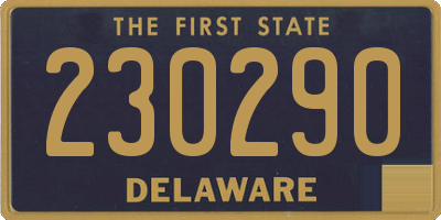 DE license plate 230290