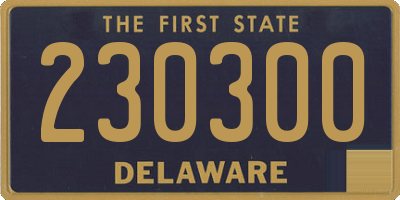 DE license plate 230300