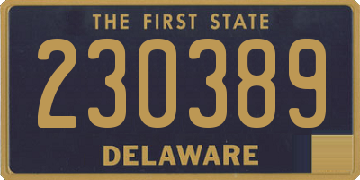 DE license plate 230389