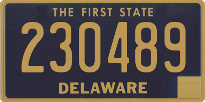 DE license plate 230489