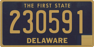DE license plate 230591