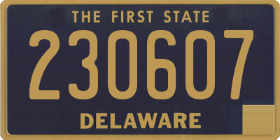 DE license plate 230607