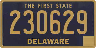 DE license plate 230629