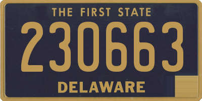 DE license plate 230663