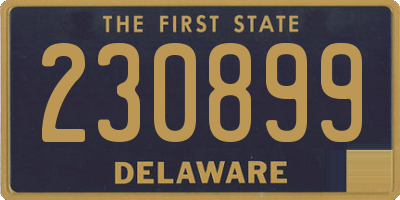 DE license plate 230899