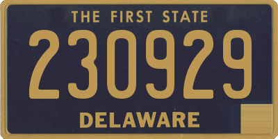 DE license plate 230929