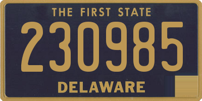 DE license plate 230985
