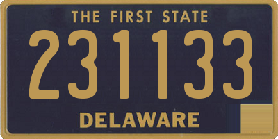 DE license plate 231133