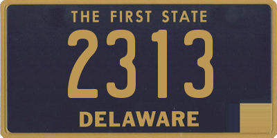 DE license plate 2313