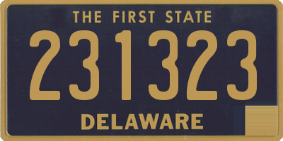 DE license plate 231323