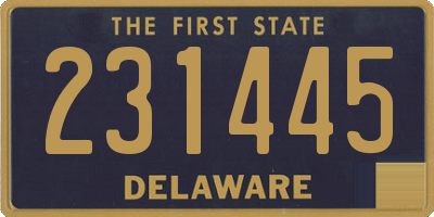 DE license plate 231445