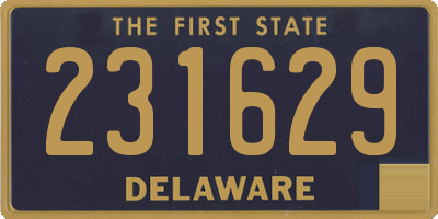 DE license plate 231629