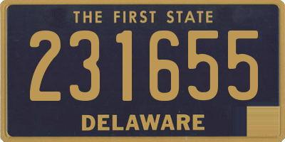 DE license plate 231655
