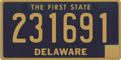 DE license plate 231691