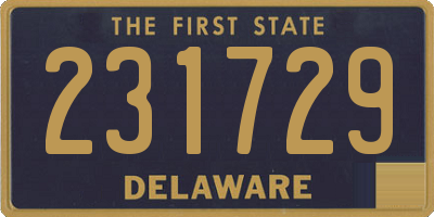 DE license plate 231729