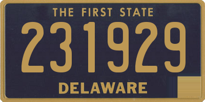 DE license plate 231929