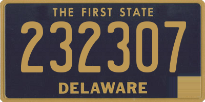 DE license plate 232307