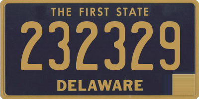 DE license plate 232329