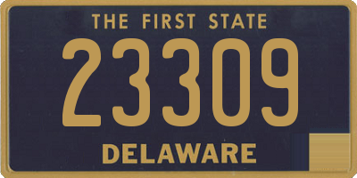 DE license plate 23309