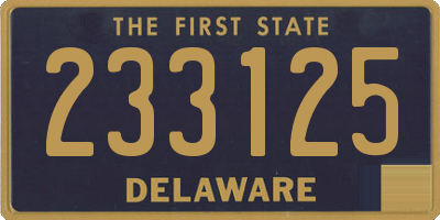 DE license plate 233125