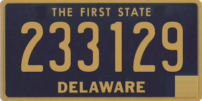DE license plate 233129