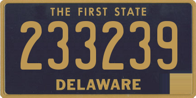 DE license plate 233239