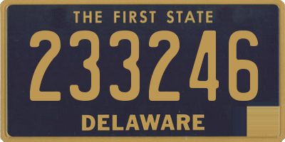 DE license plate 233246