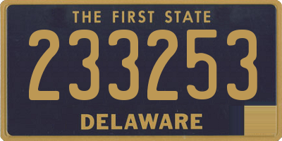 DE license plate 233253