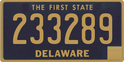 DE license plate 233289