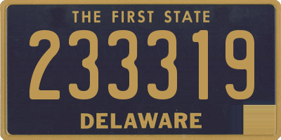 DE license plate 233319
