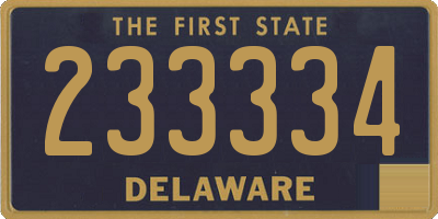 DE license plate 233334