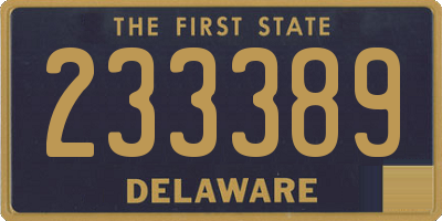 DE license plate 233389