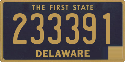 DE license plate 233391