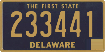 DE license plate 233441