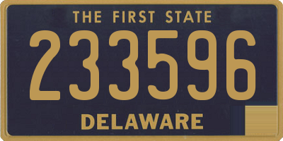 DE license plate 233596