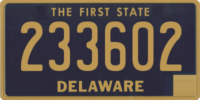 DE license plate 233602