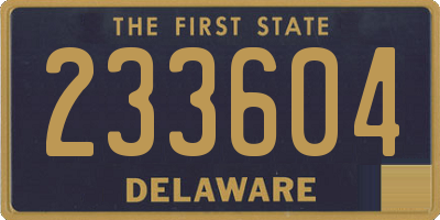 DE license plate 233604