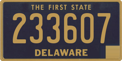 DE license plate 233607
